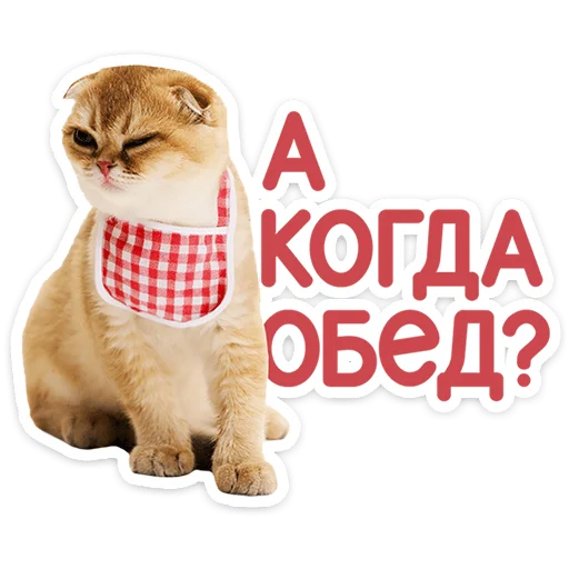 Chaotic Kitties Telegram Sticker #23 - Chaotic Kitties #23