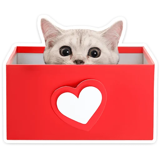 Chaotic Kitties Telegram Sticker #24 - Chaotic Kitties #24