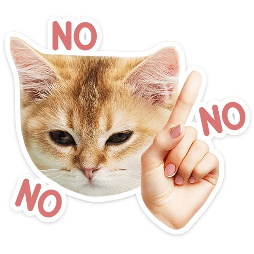Chaotic Kitties Telegram Sticker #25 - Chaotic Kitties #25