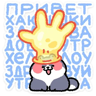 Duk the Cat