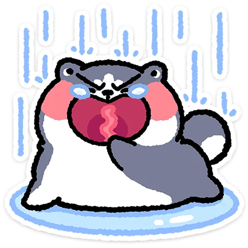 Duk the Cat Telegram Sticker #3 - Duk the Cat #3