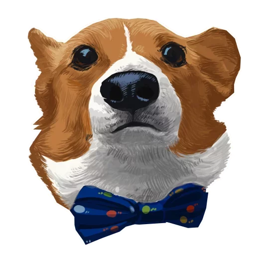 Corgi Dog Telegram Sticker #15 - Corgi Dog #15