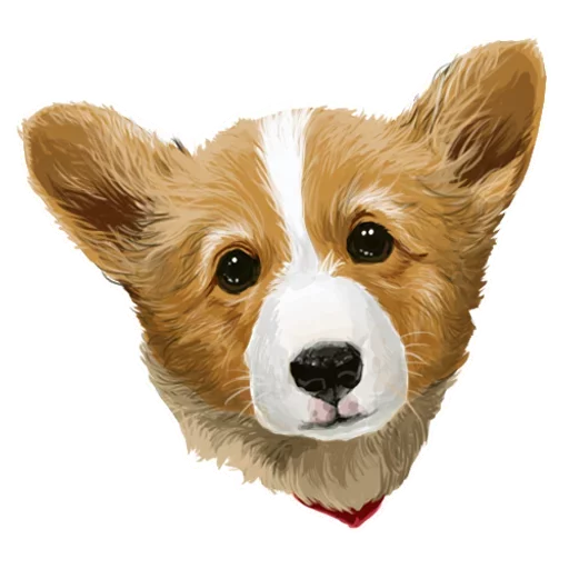 Corgi Dog Telegram Sticker #16 - Corgi Dog #16