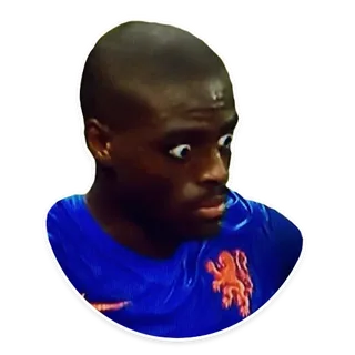 Bruno Martins Indi