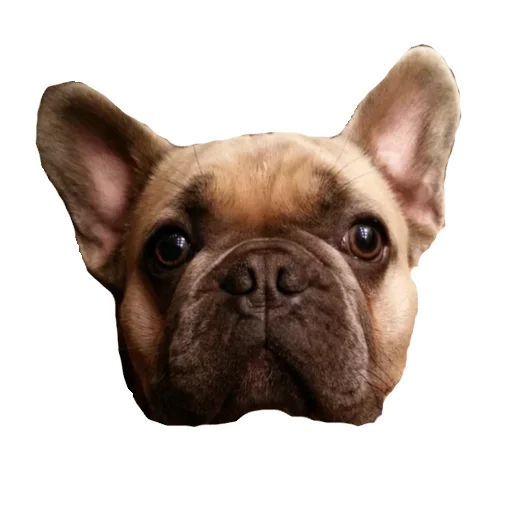 Frenchiepack Stickerevobot Telegram Sticker #15 - Frenchiepack Stickerevobot #15