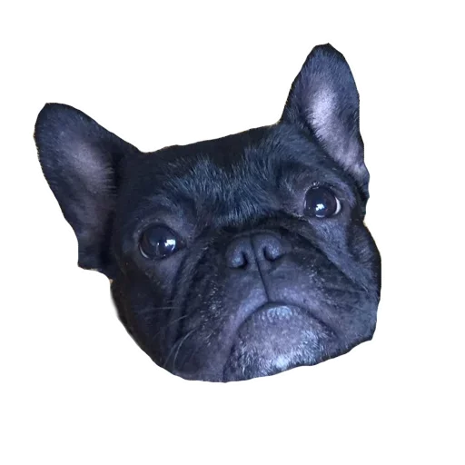 Frenchiepack Stickerevobot Telegram Sticker #16 - Frenchiepack Stickerevobot #16