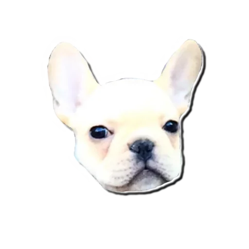 Frenchiepack Stickerevobot Telegram Sticker #25 - Frenchiepack Stickerevobot #25