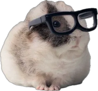 Small Animal with Glasses