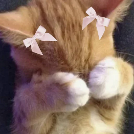 Iamideaskotiki Stickerevobot Telegram Sticker #11 - Iamideaskotiki Stickerevobot #11