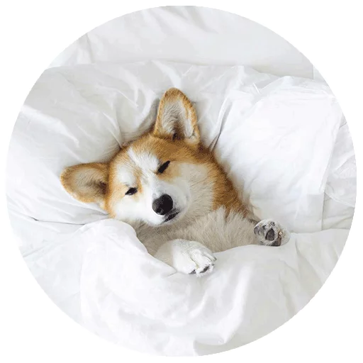 Inthebed Stickers Telegram Sticker #3 - Inthebed Stickers #3