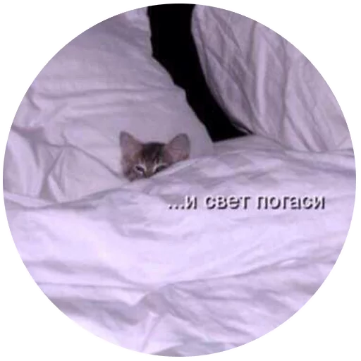 Inthebed Stickers Telegram Sticker #9 - Inthebed Stickers #9