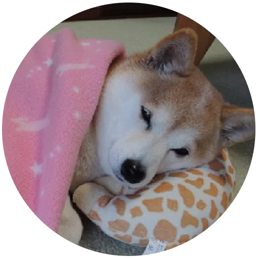 Inthebed Stickers Telegram Sticker #11 - Inthebed Stickers #11