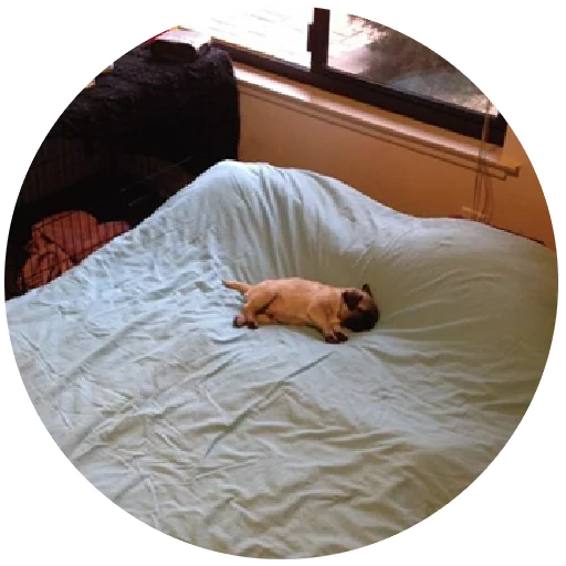Inthebed Stickers Telegram Sticker #12 - Inthebed Stickers #12