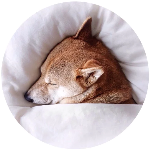 Inthebed Stickers Telegram Sticker #14 - Inthebed Stickers #14