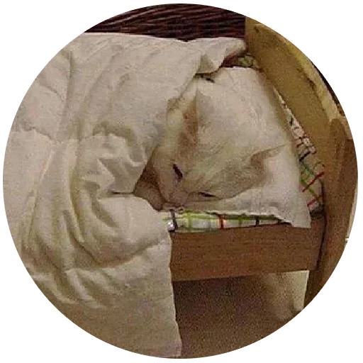 Inthebed Stickers Telegram Sticker #18 - Inthebed Stickers #18