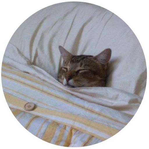 Inthebed Stickers Telegram Sticker #22 - Inthebed Stickers #22