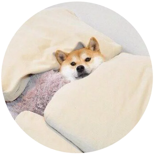 Inthebed Stickers Telegram Sticker #25 - Inthebed Stickers #25