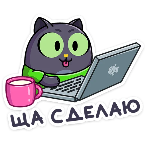 Its Cat