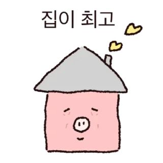 Lying Down Pig Daily Reactions