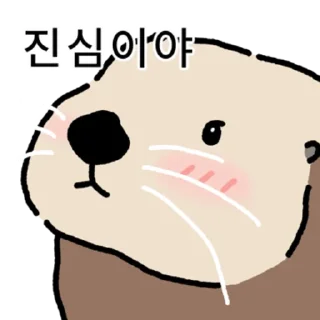 Kakao Talk Cute Friends Vol 6291 Reactions