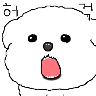 Moist Nose Maltese Daily Reactions