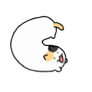 Crooked Stupid Calico Cat 3 Daily Reactions