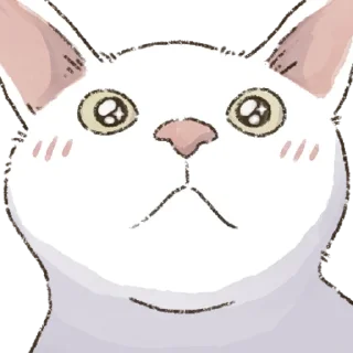 Quick Shot Cat 3 Feat Aggaegi Daily Reactions