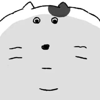 Big Cat Cute Reactions