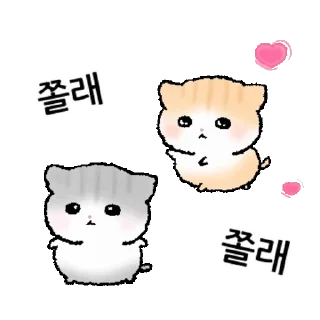 I'm Obsessed With Goangjyu Daily Reactions