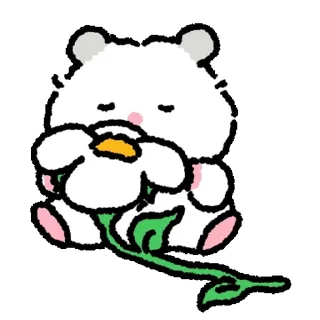 Fluffy Hamster 4 Daily Reactions