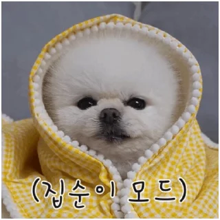 Kakao Talk Cute Friends Vol 2234 Reactions