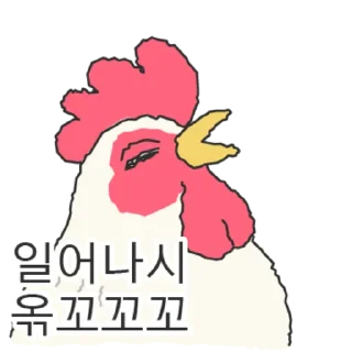 Ah Chicken Cute Reactions