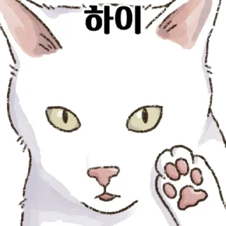Kakao Talk Cute Friends Vol 4148 Reactions