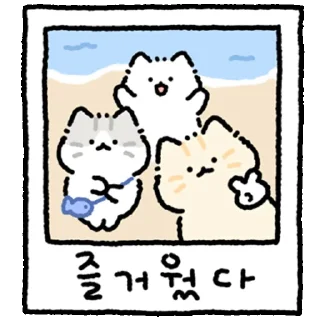 Summer Summer Fluffy Cat Daily Reactions
