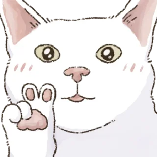Quickshot Cat 5 Cute Reactions