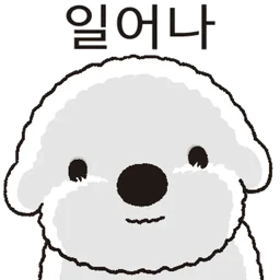 Heedong S Beautiful Life
