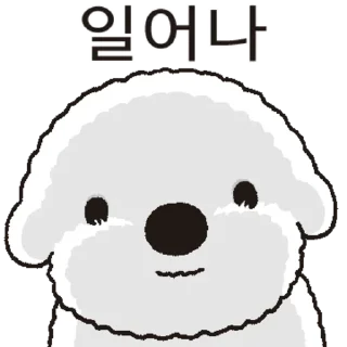 Heedongs Beautiful Life