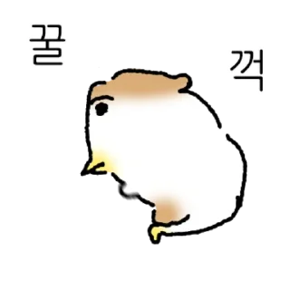 What Kind of Snail Is This Daily Reactions