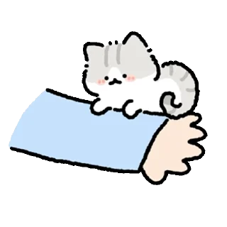 Fluffy Mackerel Fluffy Cat Daily Reactions