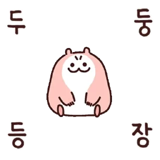 Hello I Am Pori It's a Pink Hamster Daily Reactions
