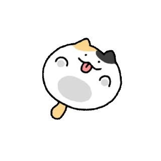 Squashed Foolish Calico Cat 2 Daily Reactions