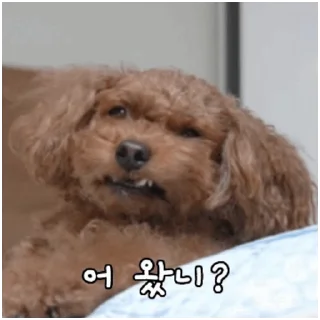 While I Was Making It I Made It Again Daily Reactions