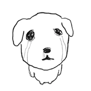 Du Ganadi 5 Cute Reactions