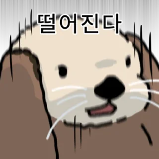 Zoomed In Sea Otter Vol 5