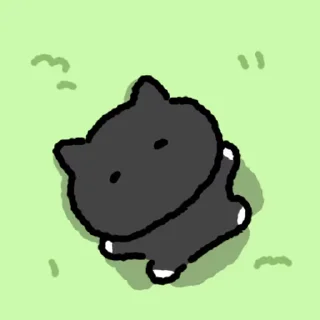 White Socks Kitty Daily