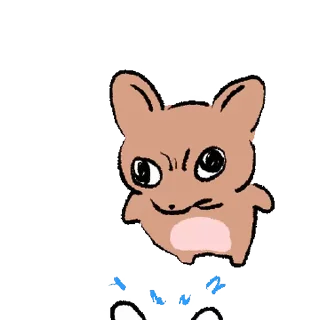 Anyway Chihuahua Cute Reactions