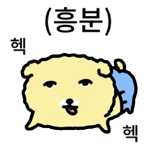 A Yellow Dog That Is Somehow More and More Suspicious Daily React