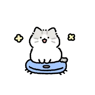 Fluffy Mackerel Fluffy Cat Daily Reactions