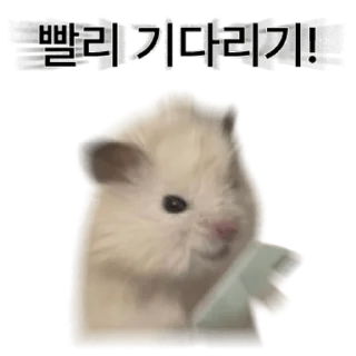 Hamsters Living in a Rough World Daily Reactions