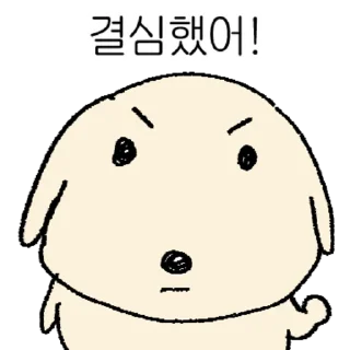Potato Doggy Cute Moments